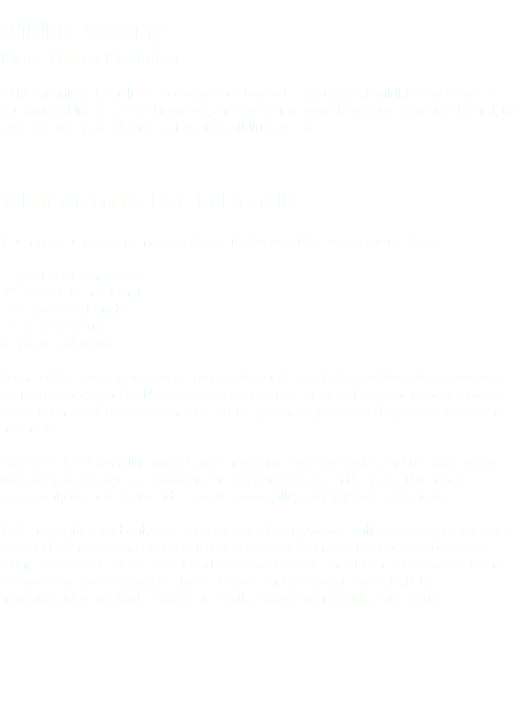 
Wildlife Viewing
More Than a Mountain Wild animals in Denali are not caged or trained - sightings of wildlife can never be guaranteed like in a zoo. However, the more time you devote to exploring Denali, the ever-greater your chances of seeing wildlife will be. What Animals Live in Denali? In simple numbers, many animals live in this beautiful and remote place: 1 species of amphibian
39 species of mammals
169 species of birds
14 species of fish
0 species of reptiles Some of the most iconic, large mammals, such as grizzly and black bears, wolves, caribou, moose and Dall's sheep, can be seen by lucky visitors. Some of the more-often seen small mammals include arctic ground squirrels, red squirrels, foxes and marmots. The bird life of Denali is varied and impressive. Golden eagles and the rare, often transitory bald eagles, are among the largest avifauna in the park. The most commonly seen birds include ravens, mew gulls, gray jays and ptarmigan. With no reptiles and only one type of amphibian, you are unlikely to see many cold-blooded animals in the park. Fish, too, are rarely found, as the rivers and creeks within easy reach of the Park Road are poor habitat - most fish in Denali live in the far western portions, where rivers deepen and sediment carried off the mountainsides has had a chance to settle, rather than clouding the water.
